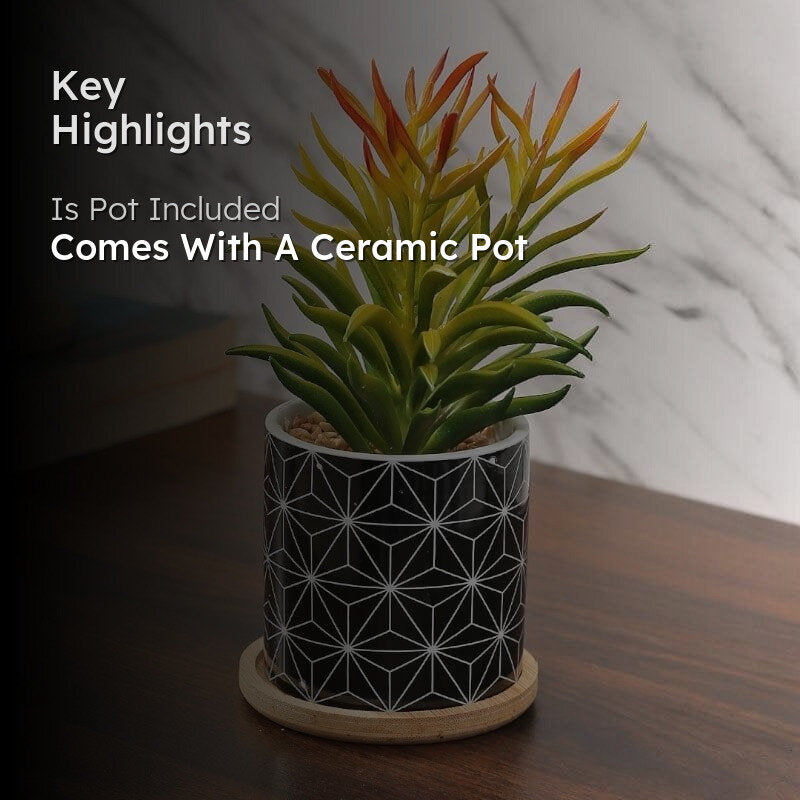 Faux Euphorbia In Minimalist Pot - 18.5 cms media 2