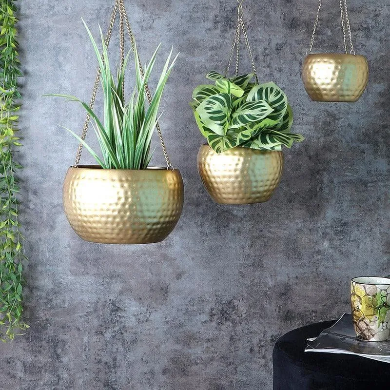 Dolema Hanging Planter - Set Of Three media 1