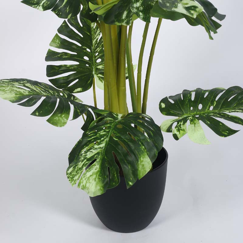 Faux Lush Variegated Monstera Plant With Black Plastic Pot - 4 Feet image 5