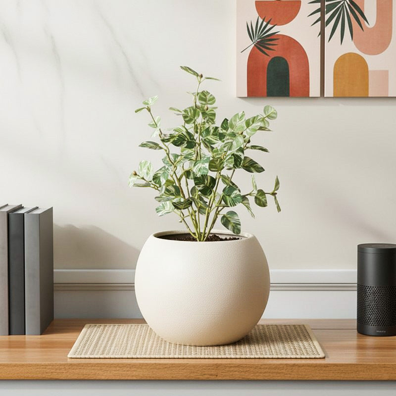 Artificial Pothos Plant With Black Fiber Pot (White) - 1 Feet