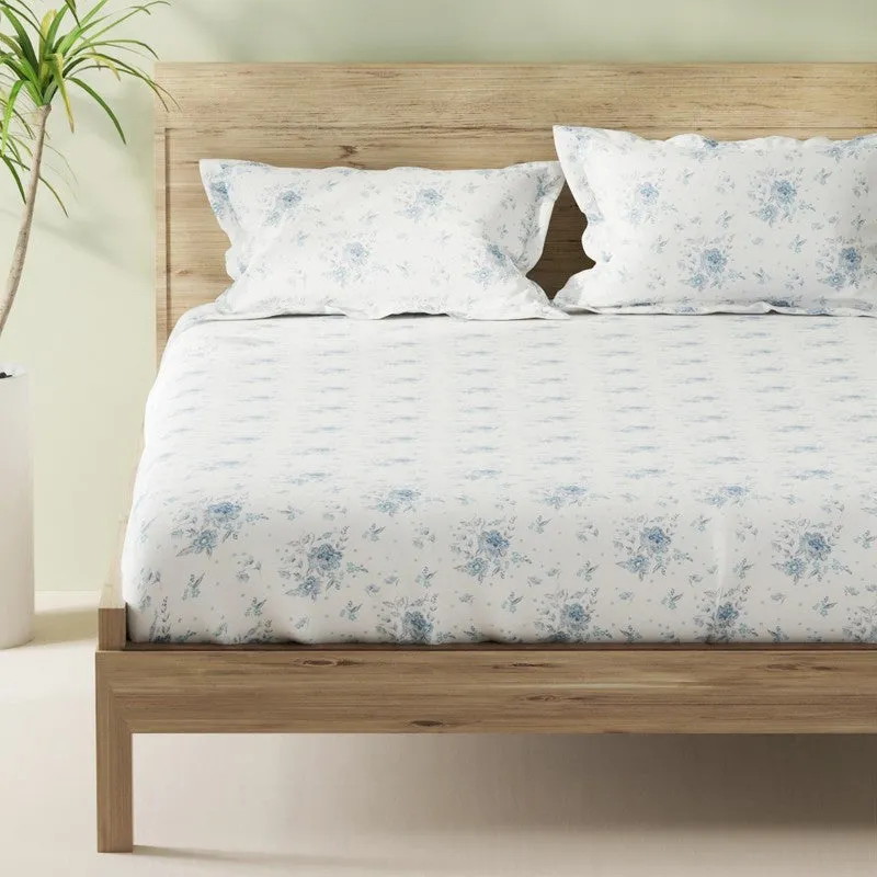 Novira Fitted Cotton Bedsheet (Blue) - 144 TC media 4