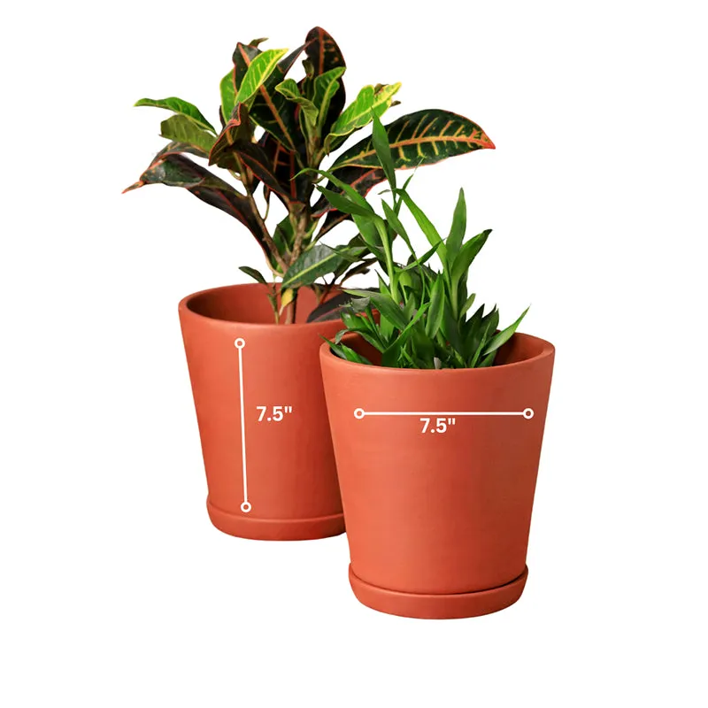 Clay Haus Terracotta Planter - Set Of Two - 5