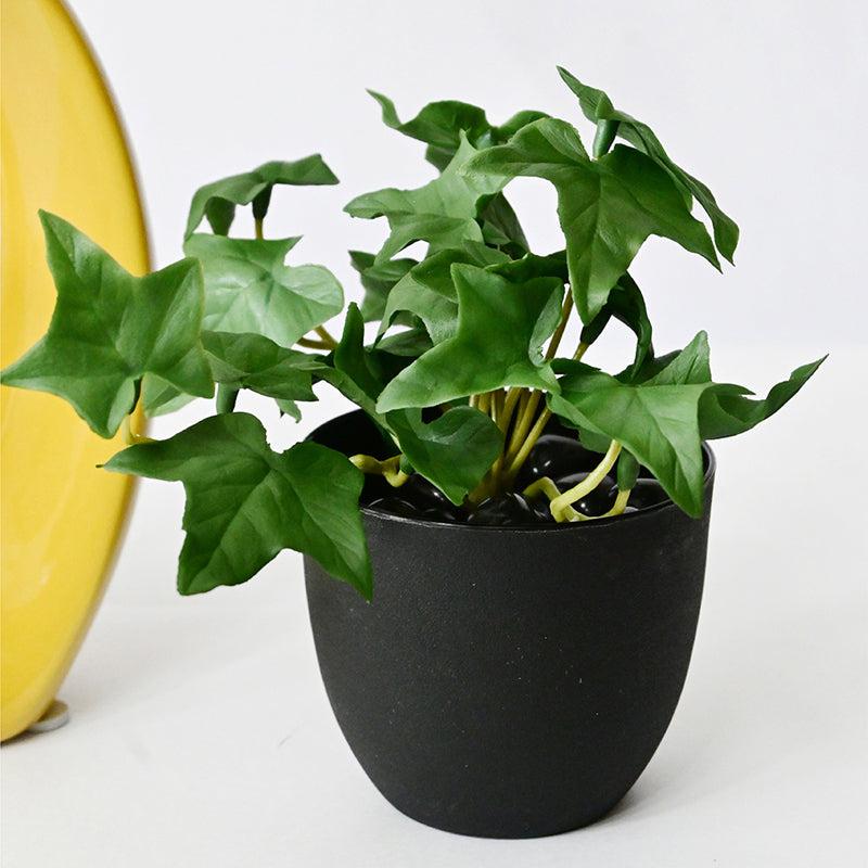 Ivella Artificial Mini Ivy Plant With Black Plastic Pot (Dark Green) - 14 cm media 3