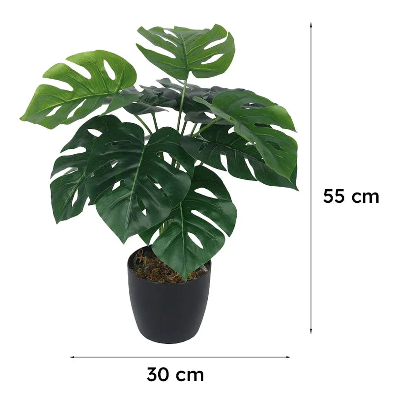 Faux Multicolor Monstera Silk Plant With Black Plastic Pot - 55 cms media 7