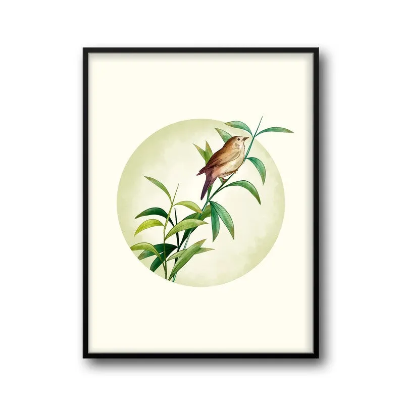 Birdsong Bliss Botanical Archival Paper Wall Art With Frame media 5