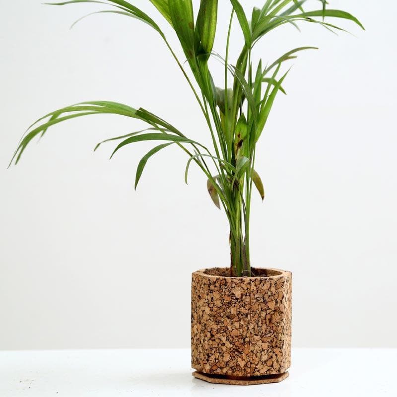 Earthy Haven Planter media 4