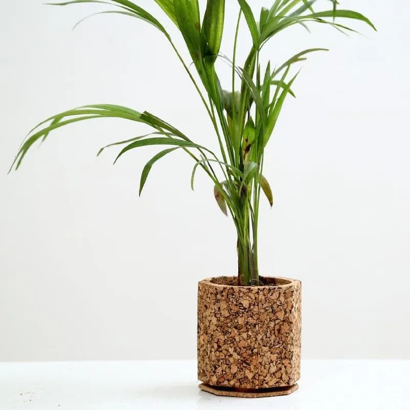 Earthy Haven Planter media 4