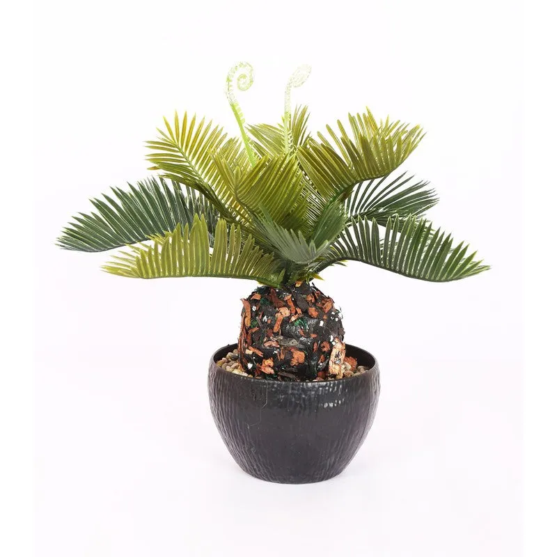 Lifelike Cycas Artificial Plant With Black Plastic Pot media 3