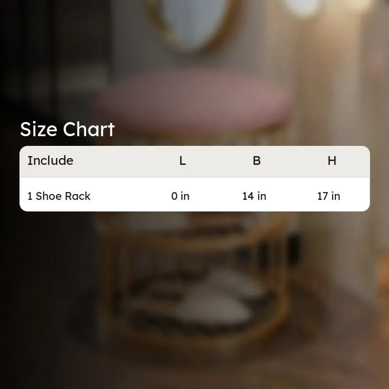 Modern Metal Shoe Rack - Gold,Pink media 6