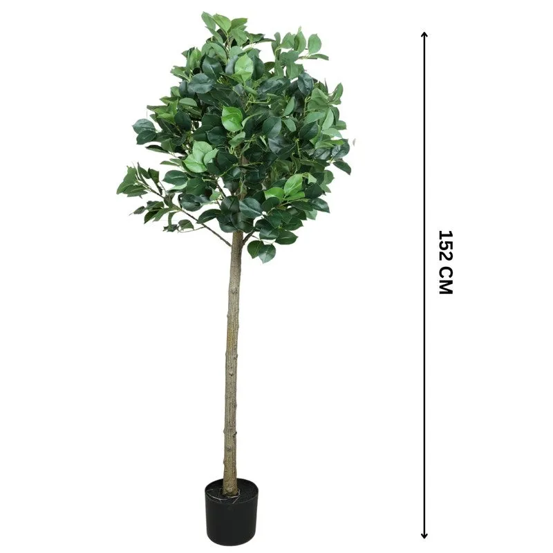 Artificial Topiary Camelia Leaf Plant With Black Fiber Pot - 5 Feet media 6