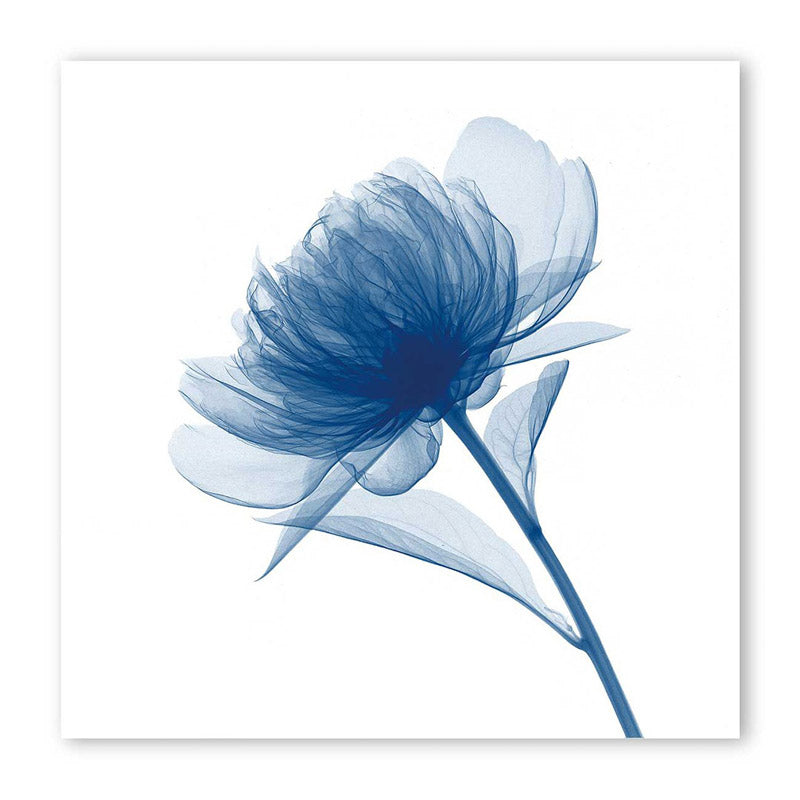 Flowers Floral Wall Art media 4