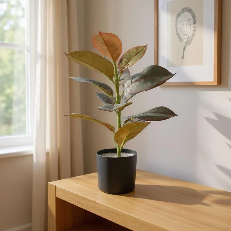 OvaFlora Artificial Rubber Plant With Black Plastic Pot - 1.6 Feet media 3