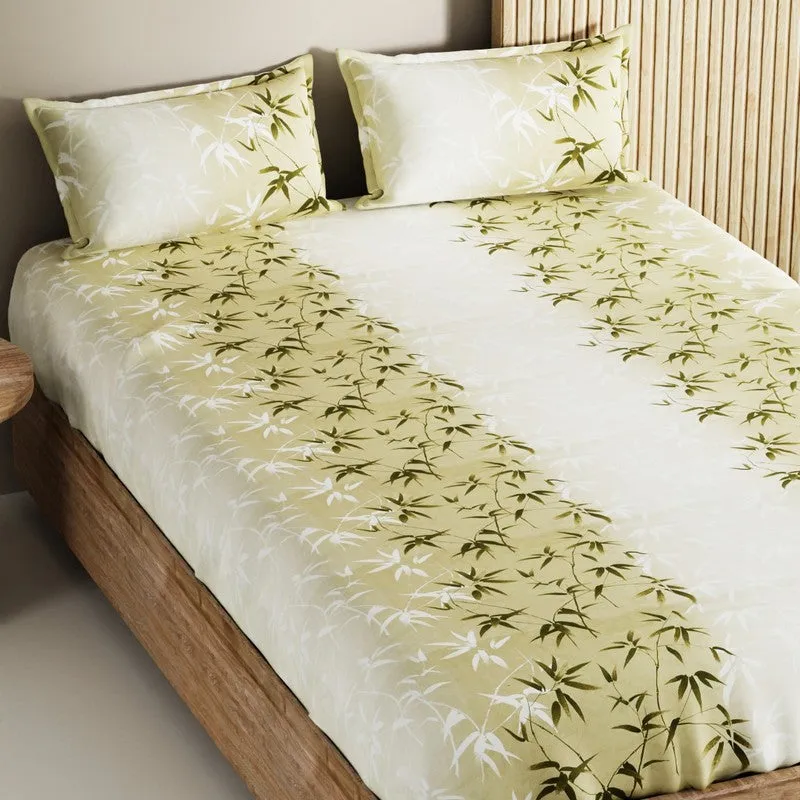 Vornel Cotton Bedsheet (Brown) - 144 TC media 4