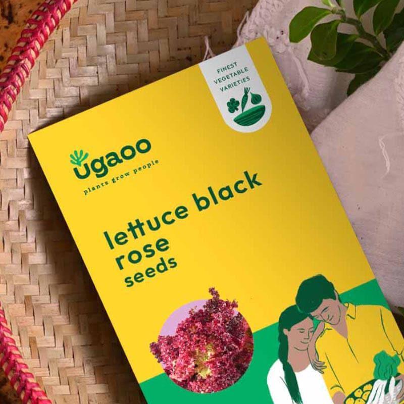 Ugaoo Lettuce Black Rose Seeds media 3