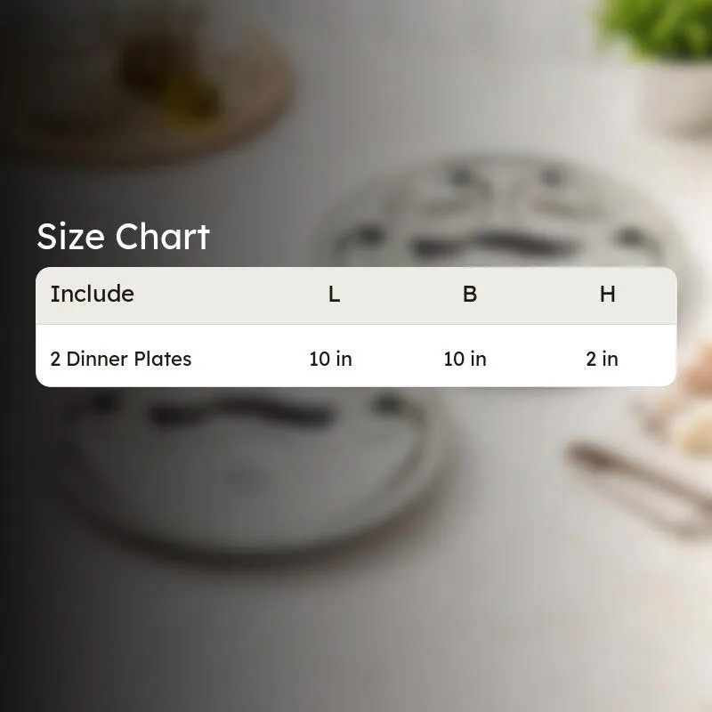 Platira Stainless Steel Dinner Plate - Set of Two media 9
