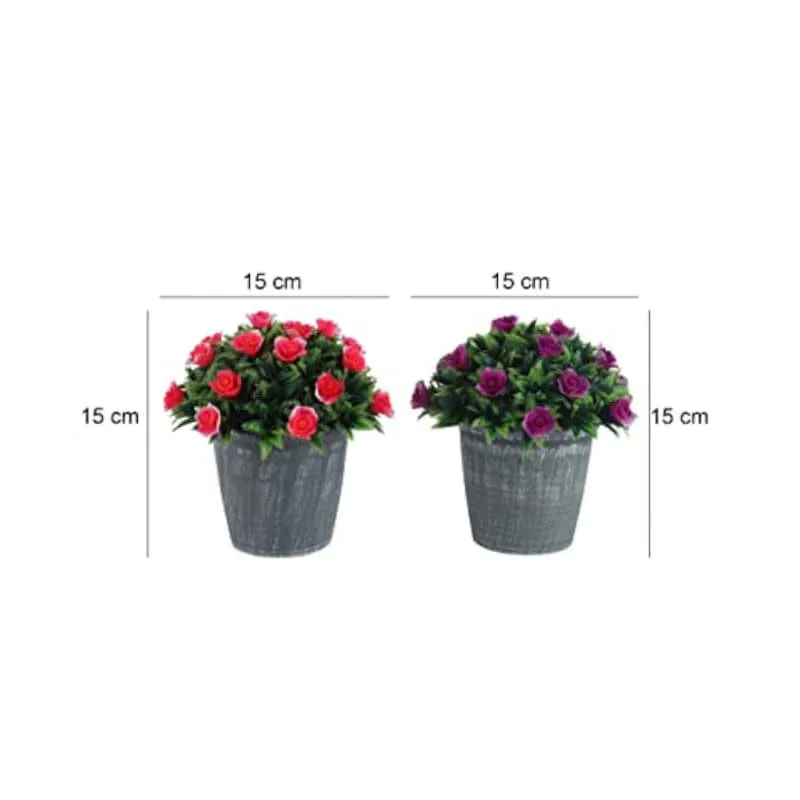 Opra Faux Plant In Garcia Pot - Set Of Two media 4