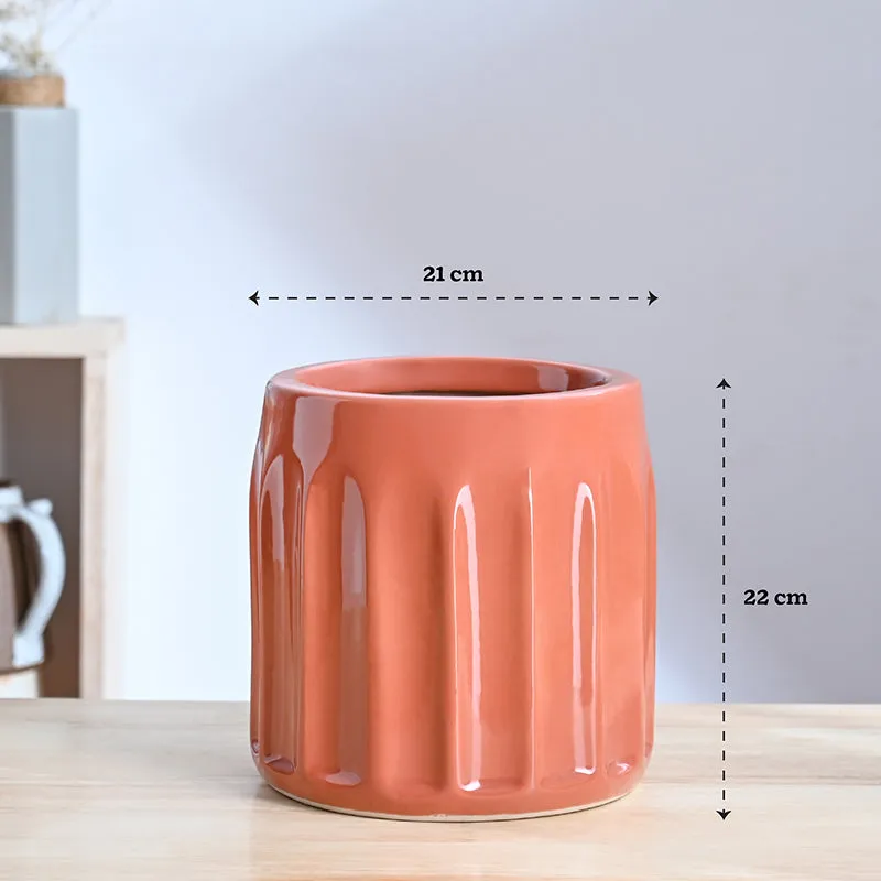 Ugaoo Straits Ceramic Planter - Coral media 8