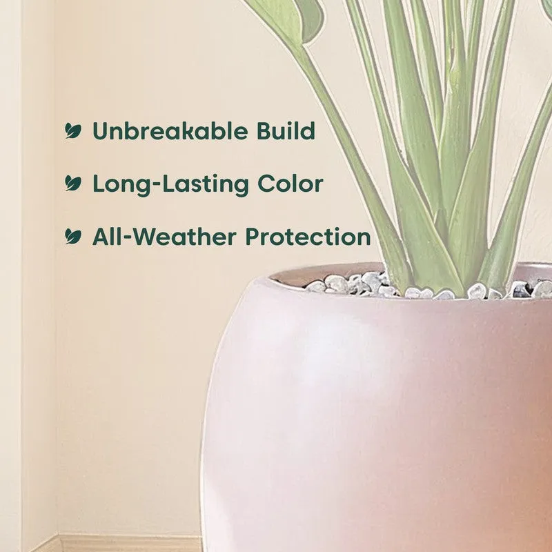 Kyari City Globe Fiberglass Planter media 6