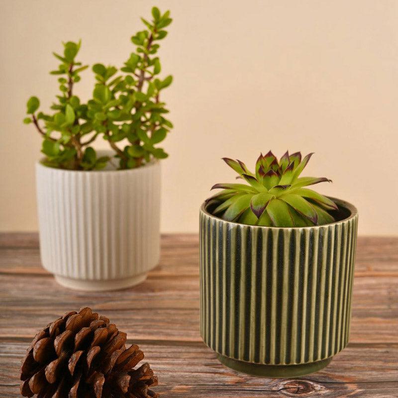 Ahanay Ribbed Planter (Olive Green & White) - Set Of Two media 2
