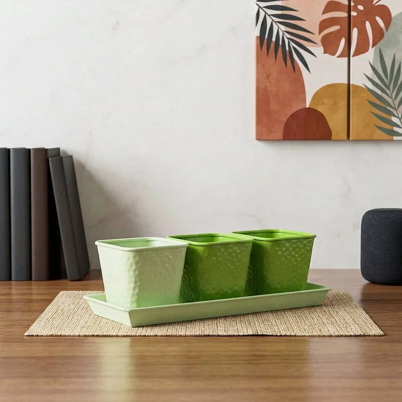 Herbster Planter - Set Of Three media 1