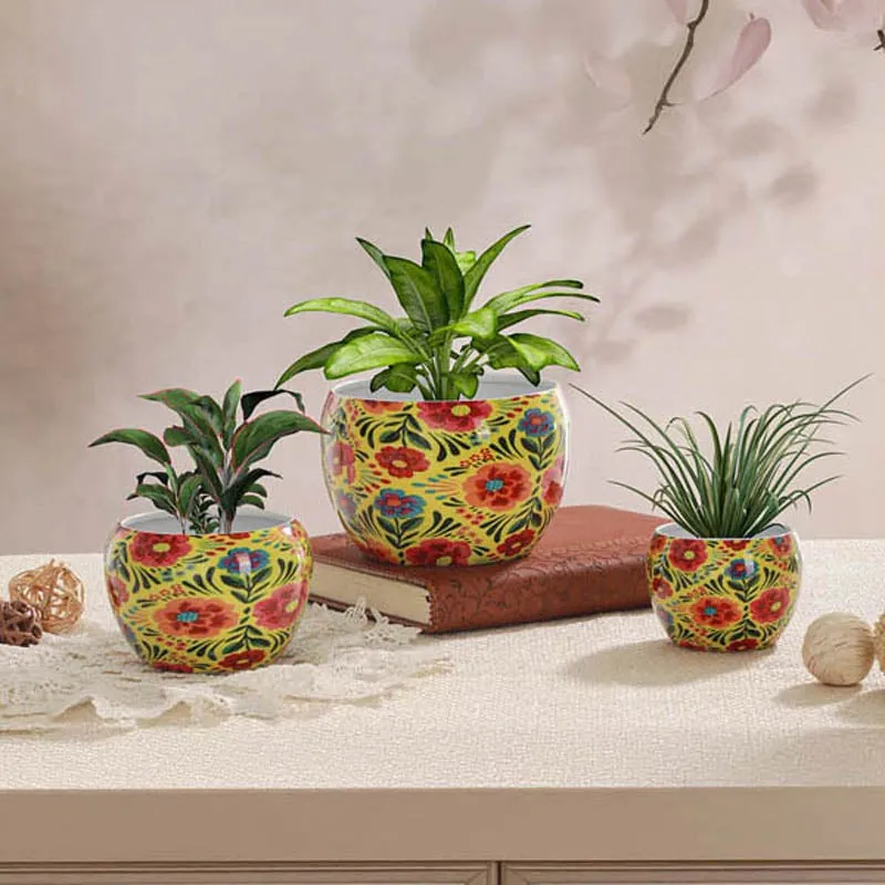 Set of three yellow floral planters styled with plants on a tabletop