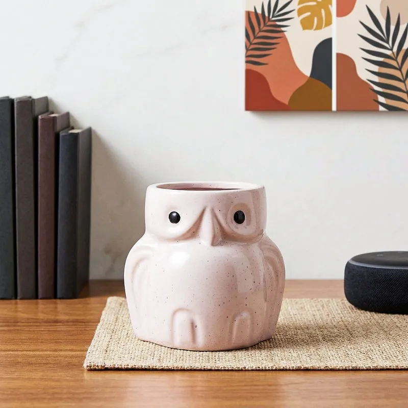 Wise Owl Ceramic Planter media 1