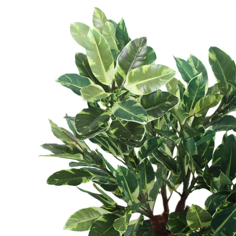 Green Envy Artificial Plant With Black Plastic Pot media 7