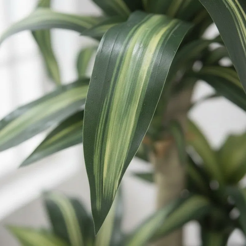 Veltura Artificial Dracaena Green Tree With Black Plastic Pot 5.7 ft media 6