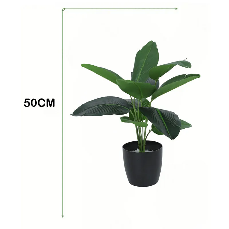 Wild Folia Artificial Banana Plant With Black Plastic Pot - 1.8 Feet media 5
