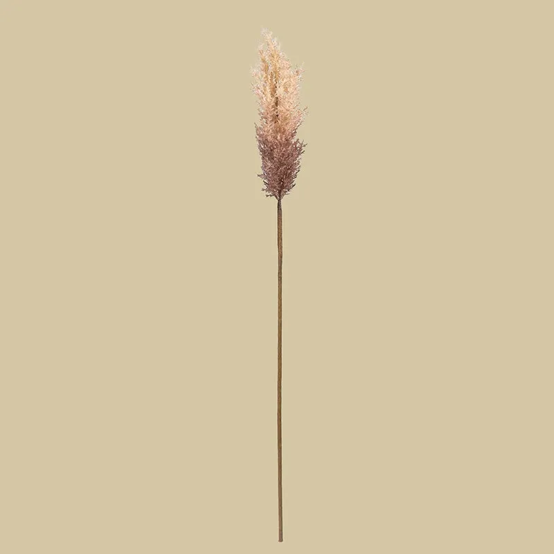 Pampera Artificial Pampas Without Vase (Beige) - 3 Feet media 5