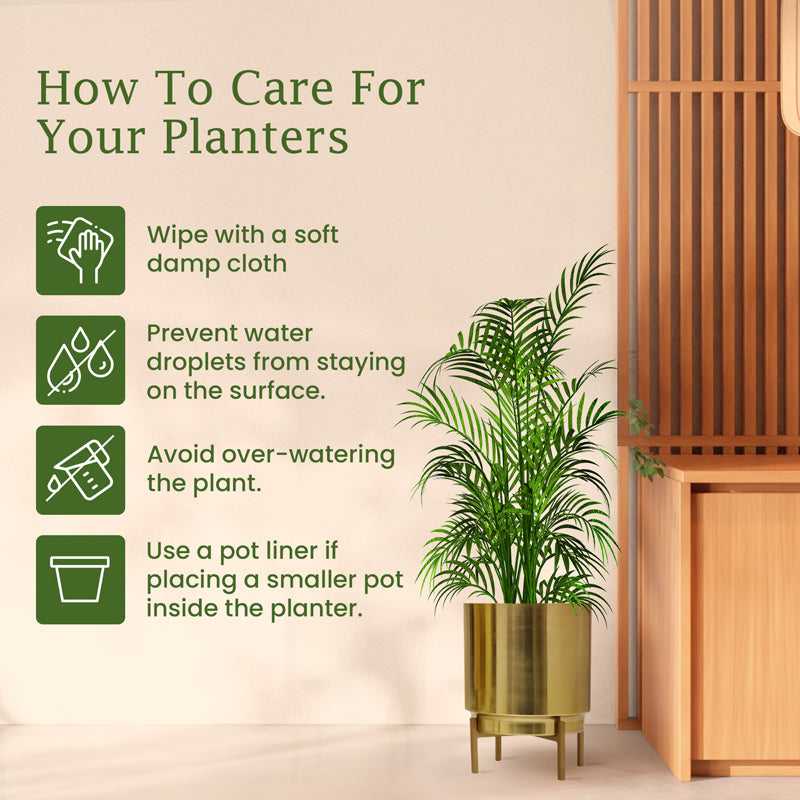 Root Rise Ember Golden Planter With Stand media 10