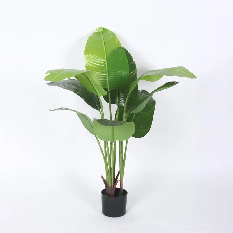 EverFresh Banana Plant With Black Fiber Pot - 3.6 Feet media 6