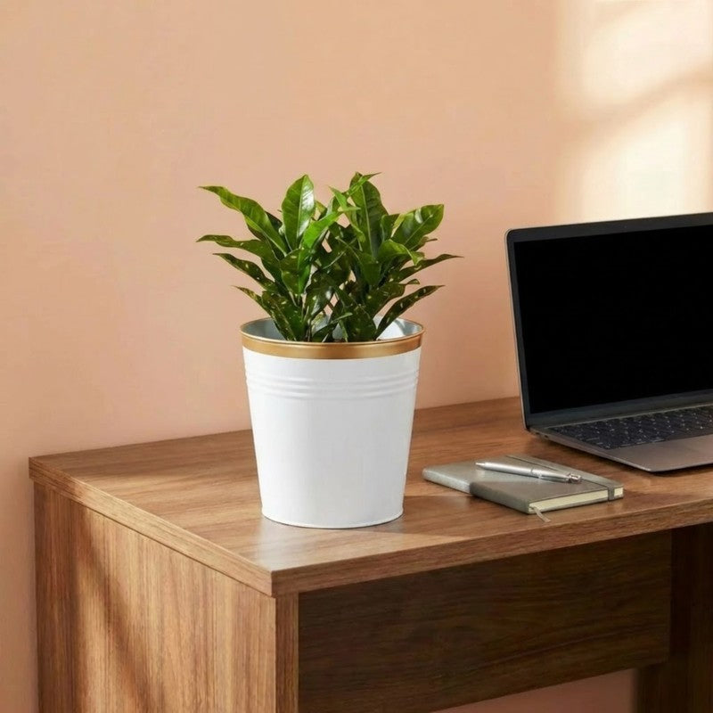 Leafora Iron Planter - White media 3