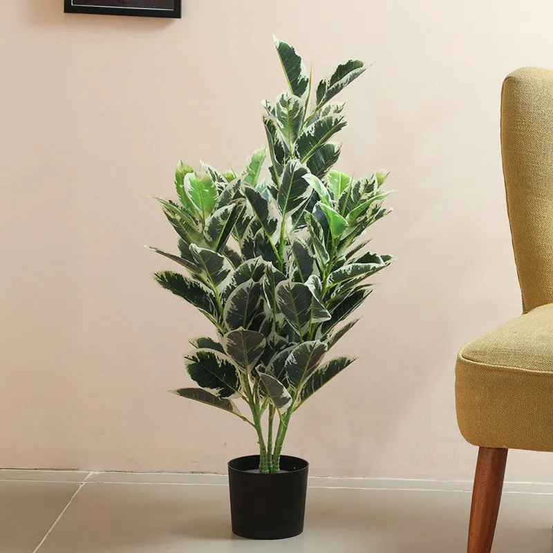 Tropikal Artificial Dieffenbachia Plant With Black Plastic Pot - 2.8 Feet media 3