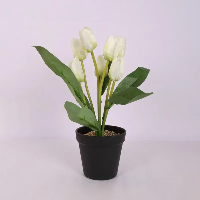Artificial Tulip Flower Plant With Black Plastic Pot - White media 4