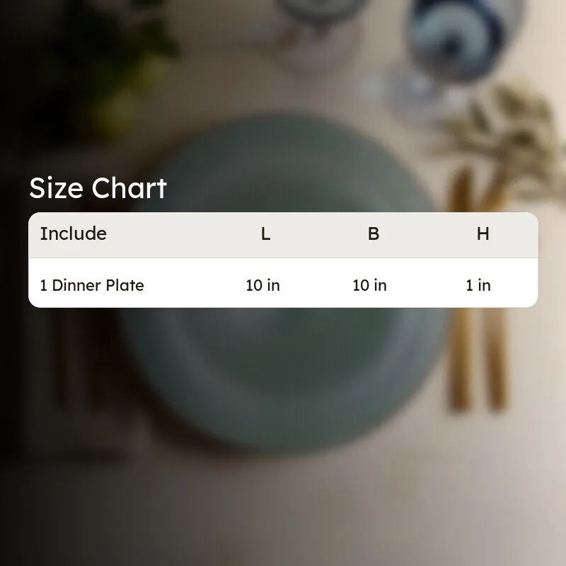 DishFlow Ceramic Dinner Plate media 7