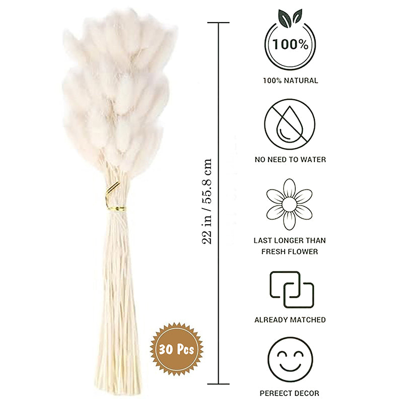 Cloudtail Dried Bunny Tail Stem (White) - Set Of Thirty media 5