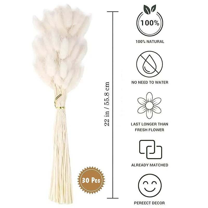 Cloudtail Dried Bunny Tail Stem (White) - Set Of Thirty media 5