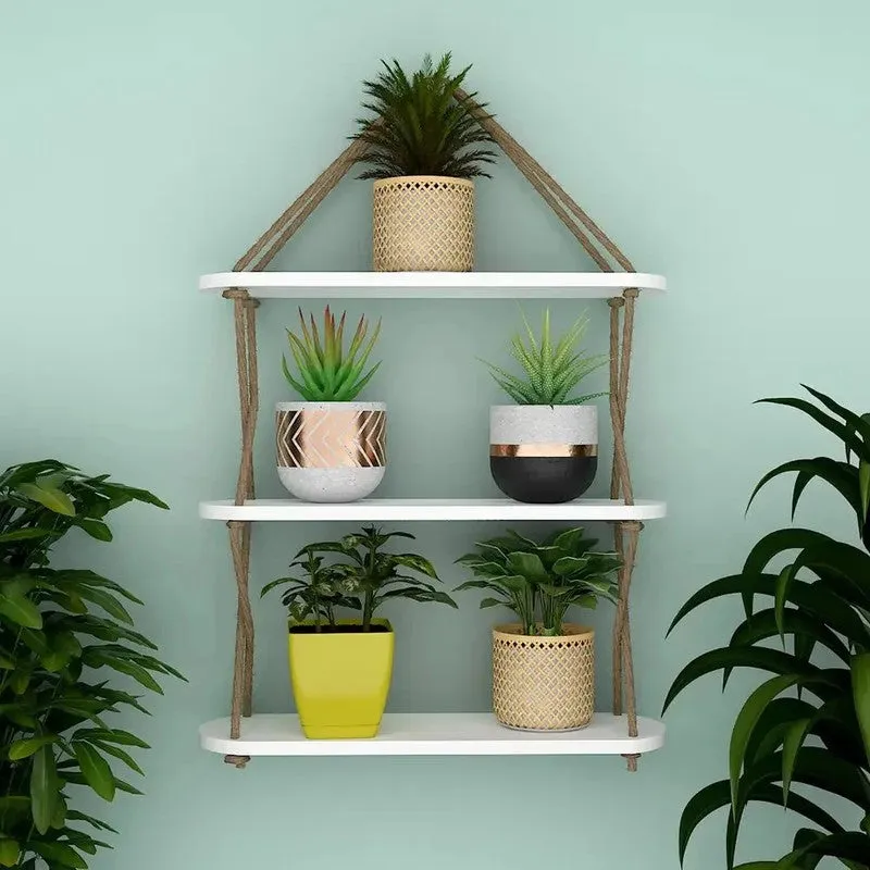 Tint Trail (MDF,Wood) Shelves media 1