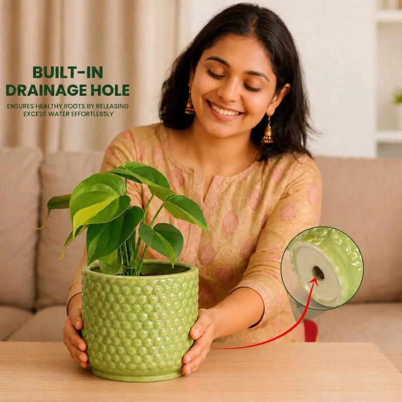 Green bubble-textured planter shown with a leafy indoor plant