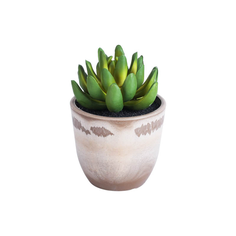 Artificial Mini Succulent With Black Plastic Pot (Set Of Four) media 3
