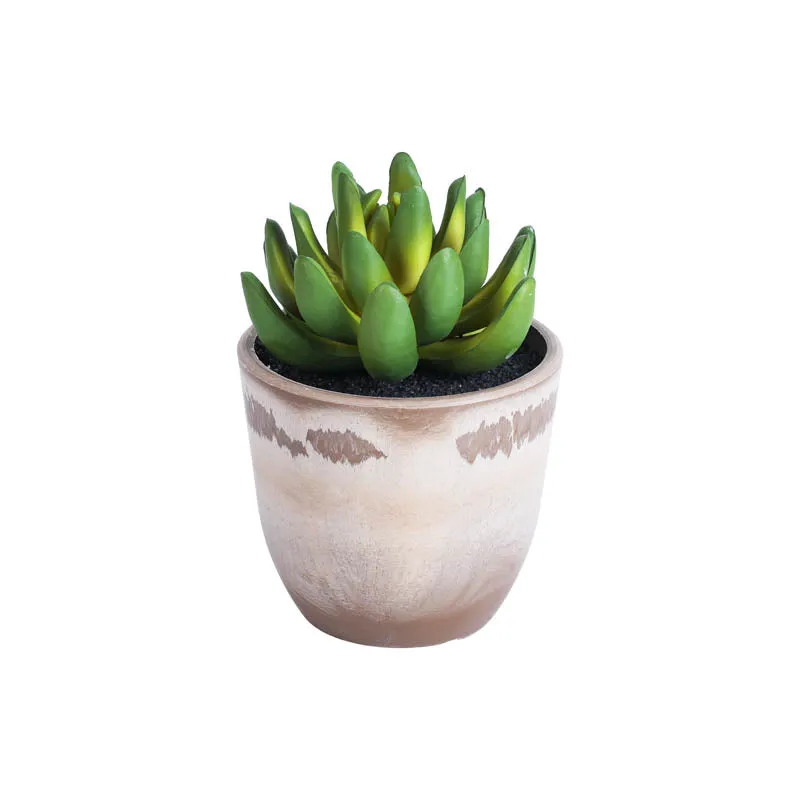 Artificial Mini Succulent With Black Plastic Pot (Set Of Four) media 3
