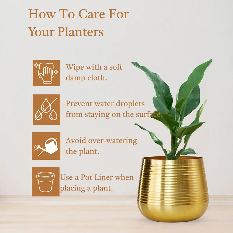 Auric Metal Golden Ribbed Planter media 5