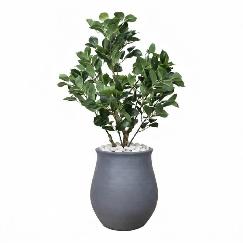Grey floor planter with a leafy plant against a white background
