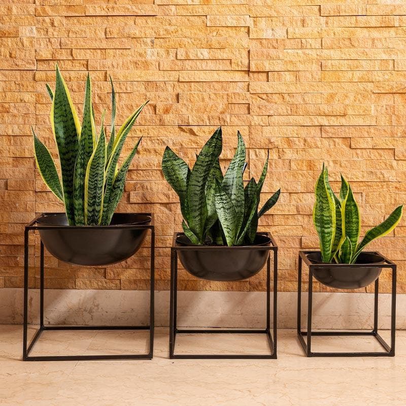 Modern Black Metal Planter Set with Stands - Set of Three media 3