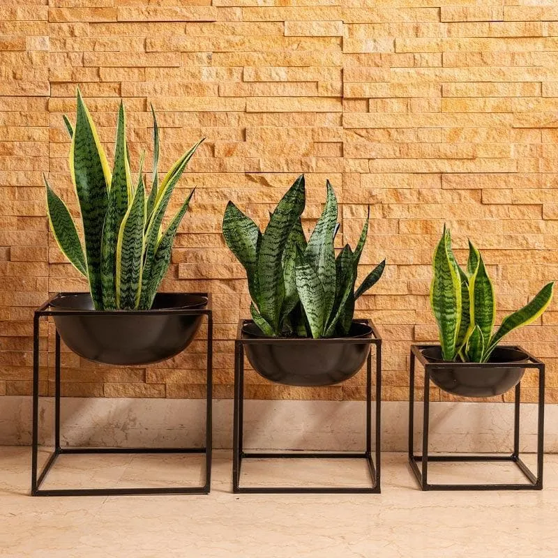 Modern Black Metal Planter Set with Stands - Set of Three media 3