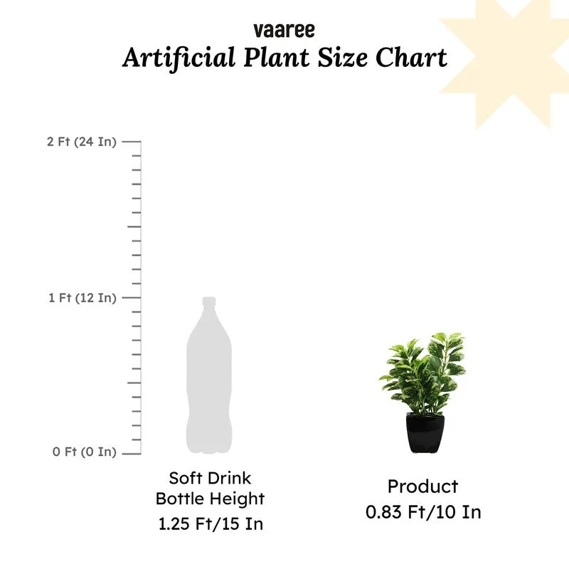 Artificial Coin Leaf Bonsai Plant With Ceramic Pot - 0.7 Feet media 6