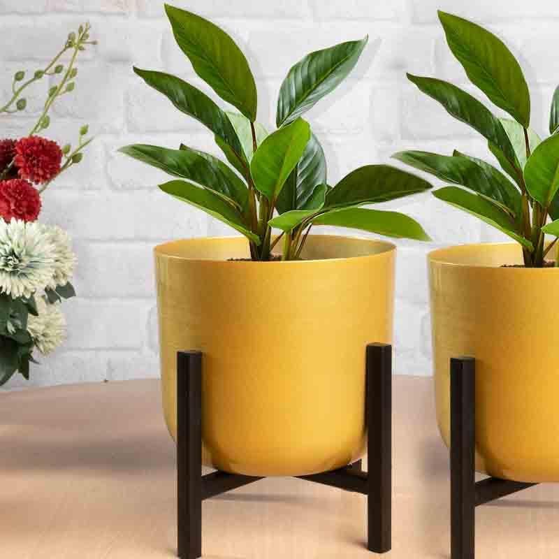 Goldie Planter With Stand - Set Of Two media 4