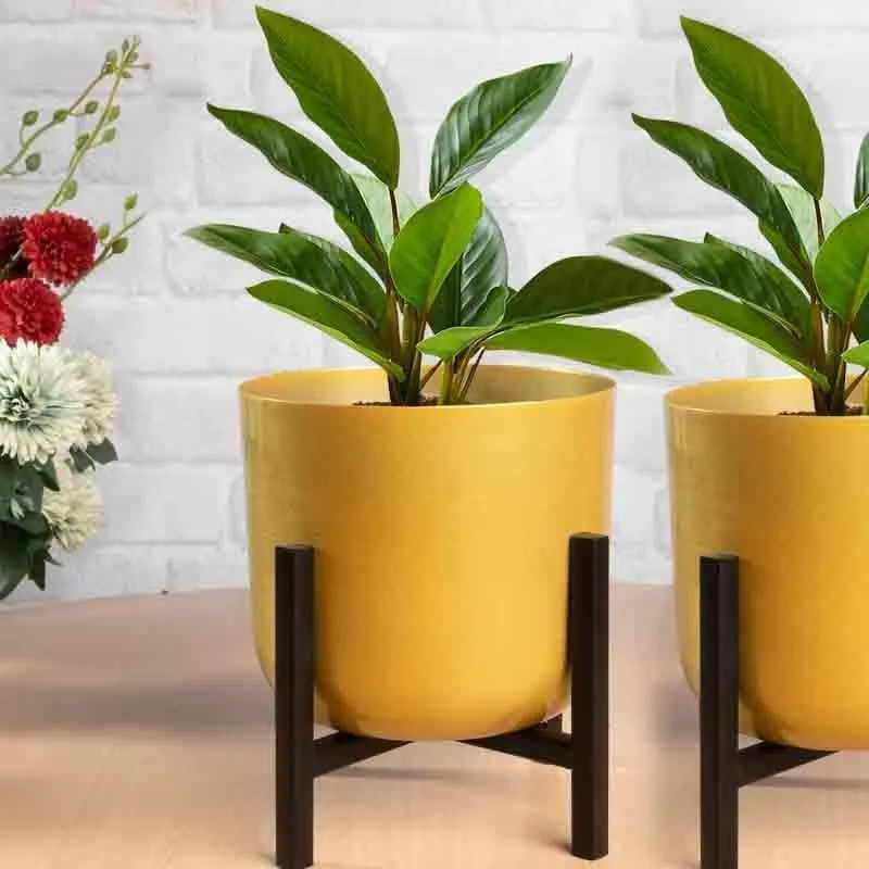 Goldie Planter With Stand - Set Of Two media 4
