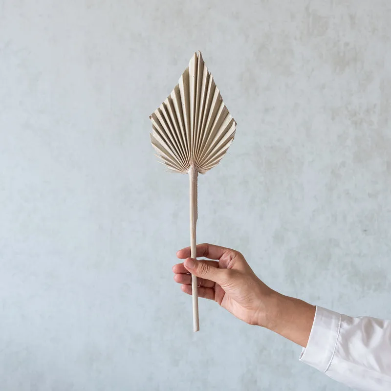 Trovio Naturally Dried Palm Leaf (White) - Set Of Five media 3